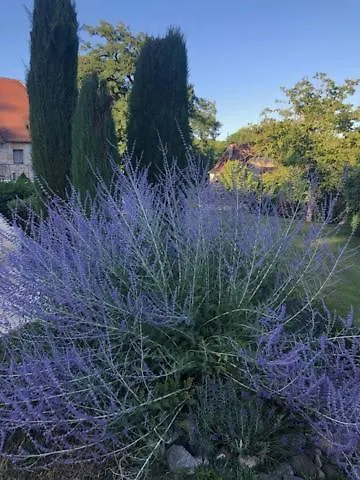 D Hôte Avec Piscine Et Jacuzzi 3*