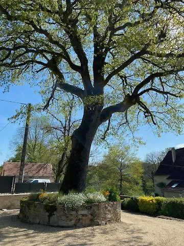 Agreable D Avec Piscine Et Jacuzzi ベッド・アンド・ブレックファスト 3*